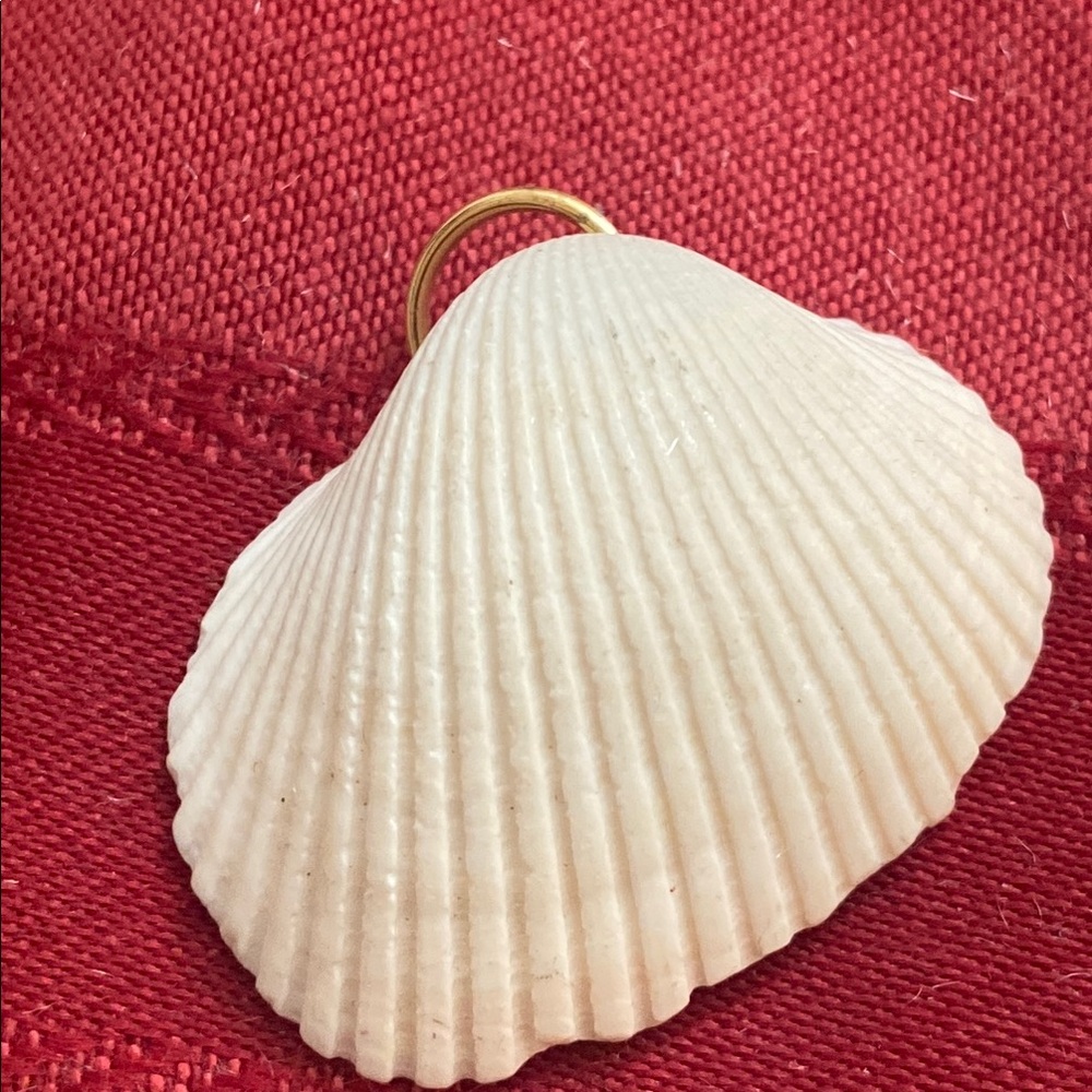 5/$10❤️❤️❤️Vintage White Seashell Charm Pendant